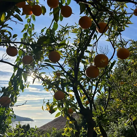 Avec Grande Terrasse Yourhosthelper Lägenhet