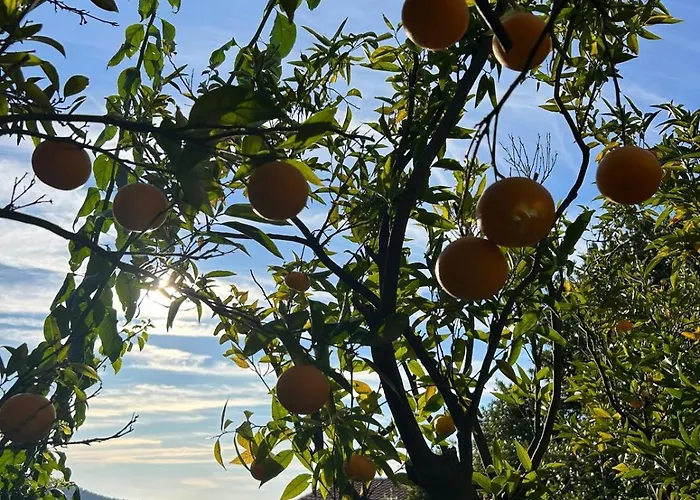 Avec Grande Terrasse Yourhosthelper Lägenhet